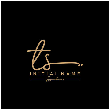 Letter TS Signature Logo Template Vector