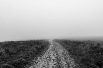 Naklejka premium la route dans le brouillard