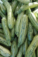 zucchini close-up