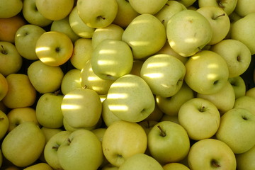 close up of apples