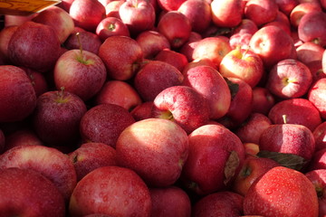 close up of apples