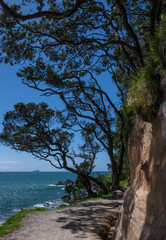 Mount Maunganui Tauranga New Zealand. Coast