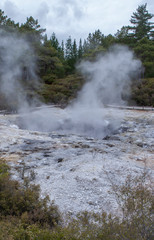 Fototapeta na wymiar Rotorua New Zealand Thermal Park. Wai-o-tapu. Thermal wonderland. Volcanism.