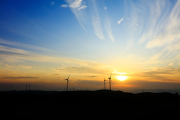 Obraz premium Wind turbines in the evening