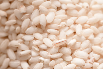 Close up seeds short  rice.