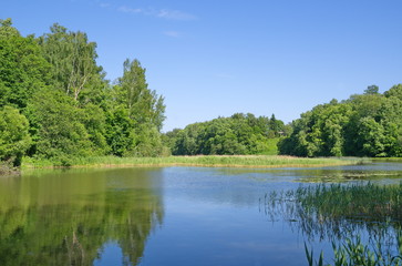 Fototapeta na wymiar Summer water landscape in Sunny weather