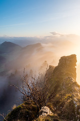 Fog wave at sunrise in Switzerland