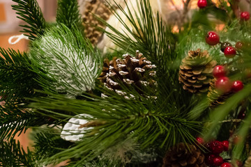 festive flora decor pine cone brown fluffy christmas spruce new year postcard base