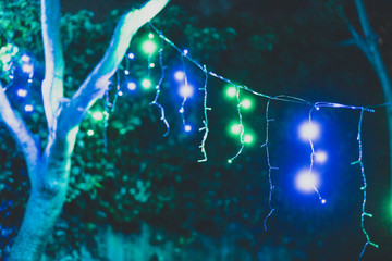 colorful Christmas fairy lights outdoor hanging off of trees in backyard at night in Australia