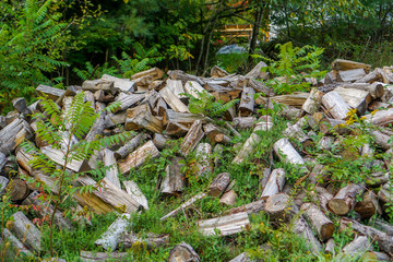 Stack of Wood Logs