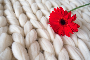 Close up view of the knitted white merino wool plaid with red flower on it