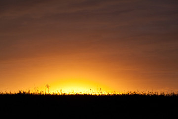 Beautiful colorful gradient sunset over field. Nature landscape sunset background