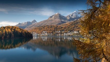 Fototapeta premium Goldener Herbst am St. Moritzersee