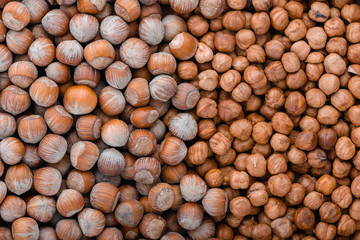 Whole and unshelled hazelnuts food background
