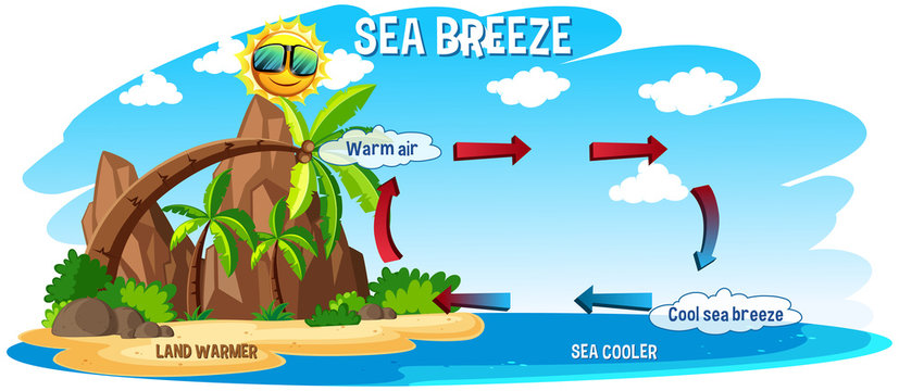 Diagram showing sea breeze with ocean and land