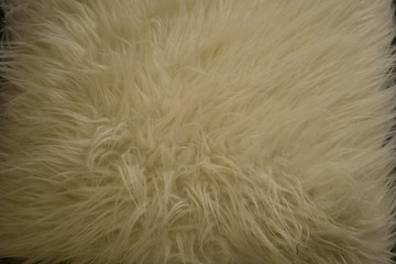 texture picture macro photography of wool of a fluffy curly animal sheep, background photograph of...