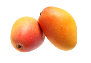 Mango on a white background
