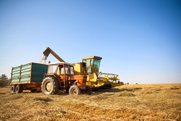 Tracteur et moissoneuse durant les moisson dans un champ de blé.