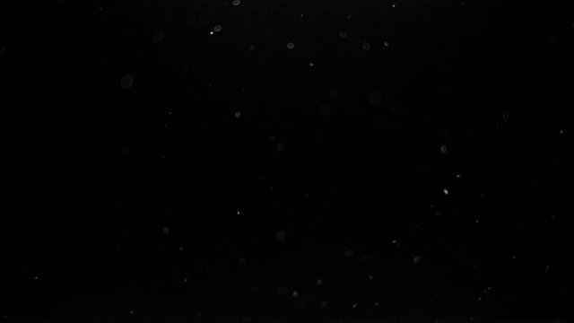 particles on black background, abstract overlay with particles and bokeh