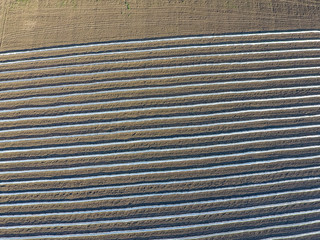 Rows of filmy greenhouses in the field. Growing vegetables in a