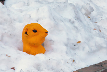 Yellow plastic prairie dog head and shoulder view in a snow bank
