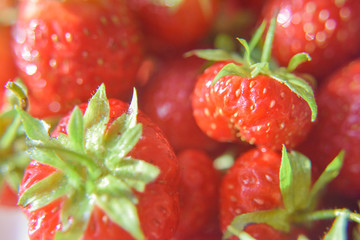 Fresh ripe strawberries close-ep, selective focus