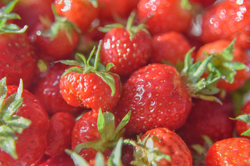 Fresh ripe strawberries close-ep, selective focus