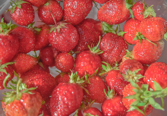 Fresh isolated strawberry on the glass plate