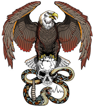 Eagle sitting on the human skull wrapped with the snake. Angry dangerous rattlesnake. Black and white Tattoo style vector illustration. Front view