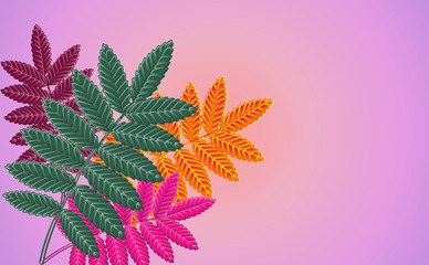 illustration leaves on a colorful background