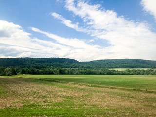 green field&blue sky