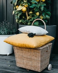 Basket and pillows