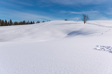 Winter hiking trial in winter wonderland bright sky and mountains