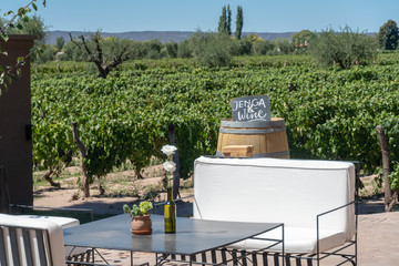 Jenga and Wine on a vineyard