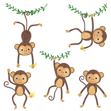 Monkey watercolor set of animals tropics illustrations