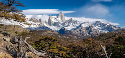 View of Mt. Fitz Roy with trees in autumn