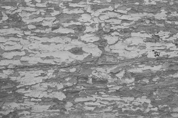 black and white old peeling paint on an old