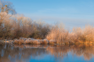 Flussufer mit Schilf und Auenwald im frühen Morgenlicht mit blauem Himmel und Farbtönen in orange und blau