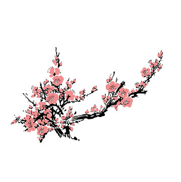 Cherry blossom event template with hand drawn branch with pink cherry flowers blooming. Realistic sakura blossom - Japanese cherry tree. Chinese or Japanese traditional drawing - Vector