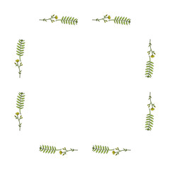 Naklejka premium Square frame made of buttercups and herbs. Flowers and green herbs on white background for your design.