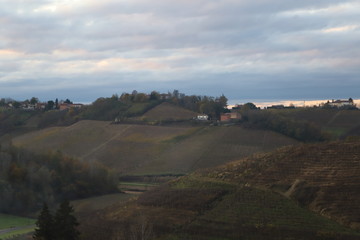 typical hilly landscape of the Langhe - Piemonte