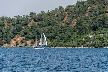 Sailboat on Blue Ocean with Trees
