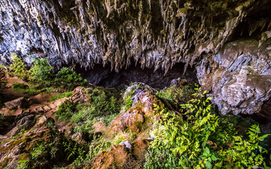 Stalactites in Rawhiti cave, Takaka city, Golden Bay, Abel Tasman