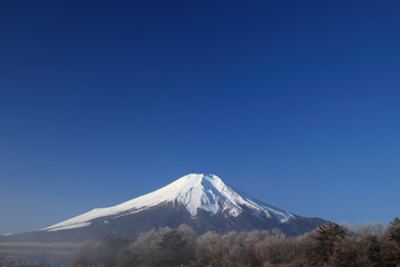 snow-covered mountains