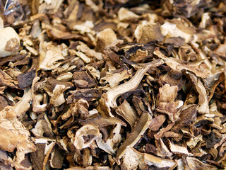 dry mushroom boletus edulis