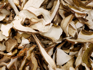 dry mushroom boletus edulis