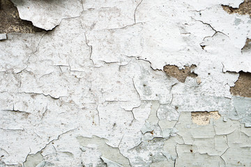 Background wall color peeling lichen stains