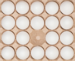 White chicken eggs in the carton box.