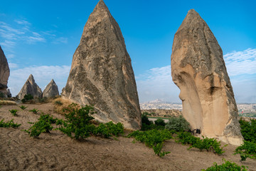 Fototapeta na wymiar Rose Valley, Cappadocia with Uchisar castle in the background