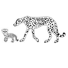 Cheetah with a cub. Sketch. Vector illustration. Drawing a line.